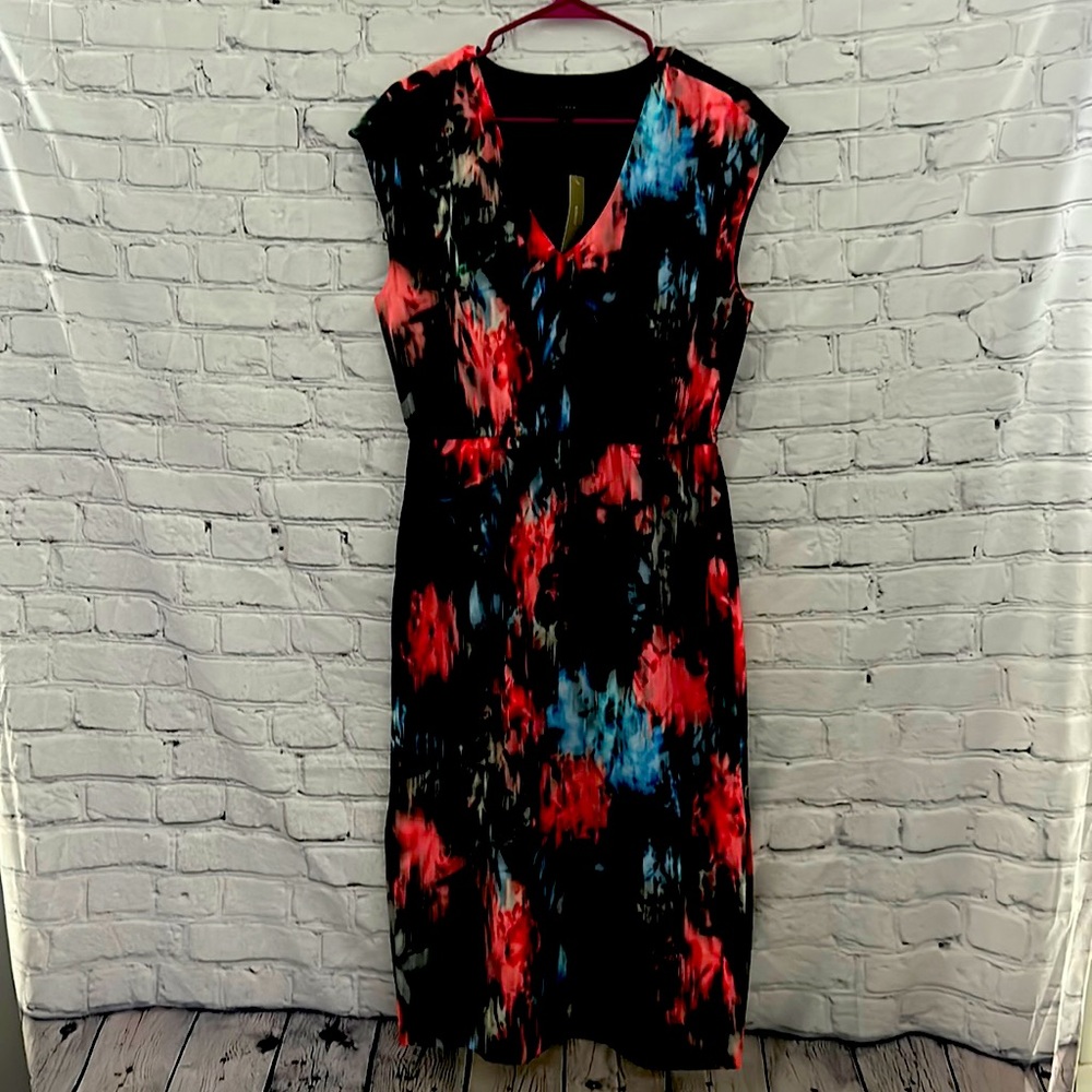 Size 10 J Crew Dress